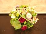 秋が近づいてますね。赤とんぼも飛んでいました。｜「フラワーショップ光」　（徳島県三好市の花キューピット加盟店 花屋）のブログ